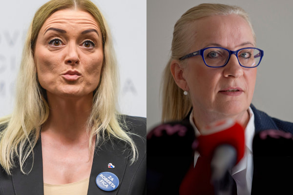 Europoslankyna za Smer plati kamaratku Kocnera z kauzy Cisty den