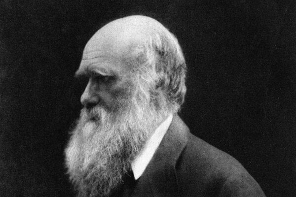 Kto seje vietor Opici proces potvrdil Bibiu Darwin neprehral