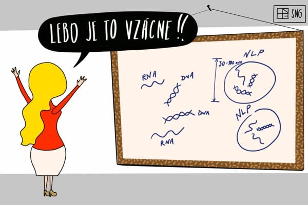 KARIKATURA DNA SLOVENSKA NARODNA GENETIKA