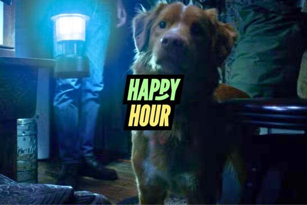 Steka tvoj pes v noci do prazdna