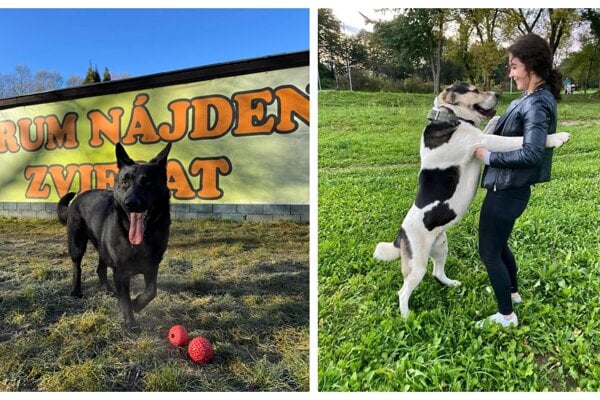 Ruzombersky utulok prisiel o vsetky peniaze stal sa obetou podvodu