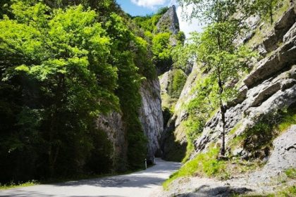 Slovensky unikat docasne uzavru sietami a murikmi