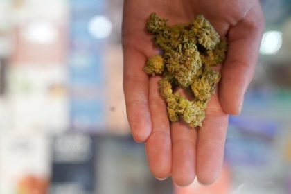 Sud sa zdrahal ulozit studentom vysoke tresty za marihuanu