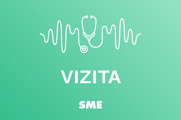 V Slovensku sa siri zltacka riziko hrozi na hodoch a vinobraniach hovori infektologicka