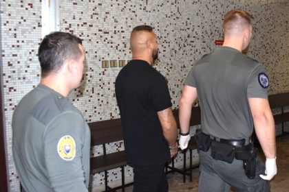 Zdrogovany vodic zabil dochodcu a psa na priechode