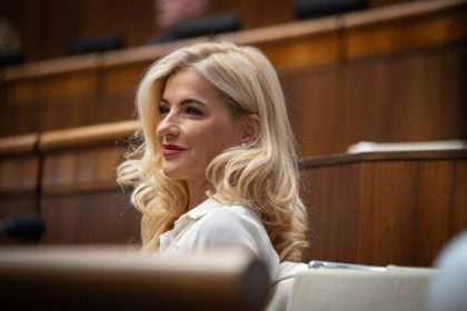 Audiovizualny fond moze mat osud Fondu na podporu umenia SNS chce rozhodovat bez odbornikov