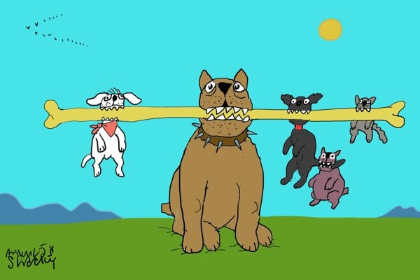 Karikatura dna Koalicna svorka