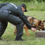 Nove koterce pre sluzobne policajne psy budu stat 659 tisic