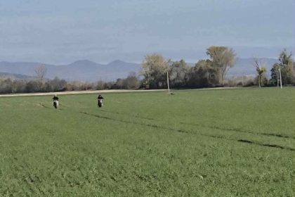 Z polnych ciest sa stavaju pretekarske drahy