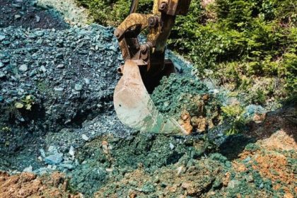 Zupu pre projekt v lesoch vysetruju Preco stal v Cesku milion eur menej