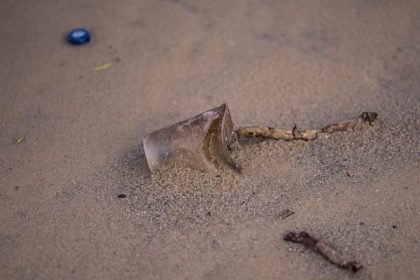 Chyba alternativa Francuzsko odlozilo zakaz plastovych poharov