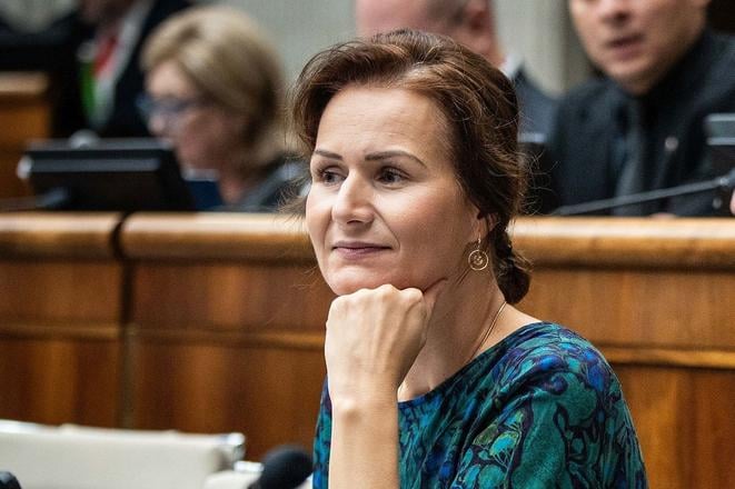 V Hnuti Slovensko su velmi sikovni ludia tvrdi poslankyna SaS