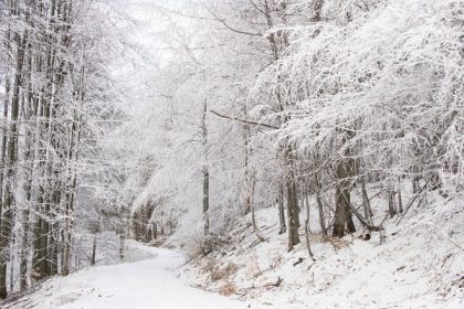 Meteorologovia varuju pred mrazom vetrom a snehom
