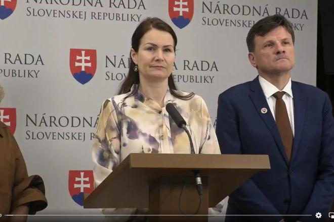 Bitto Ciganikova nechce byt bez Sulika na kandidatke SaS oznamila Bajo Holeckova