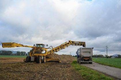 Vymera cukrovej repy klesne po uzavreti cukrovaru v Trencianskej Teplej o 8 000 hektarov