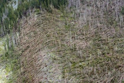 Ako svet prichadza o vzacnych ludi