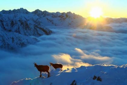 Jedna dobra sprava jedna obava a jedno varovanie