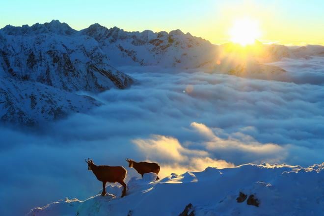 Jedna dobra sprava jedna obava a jedno varovanie