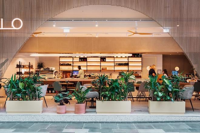 Medusa riesi problemy restauracii v Dubaji Trzby tam klesli o 90 percent