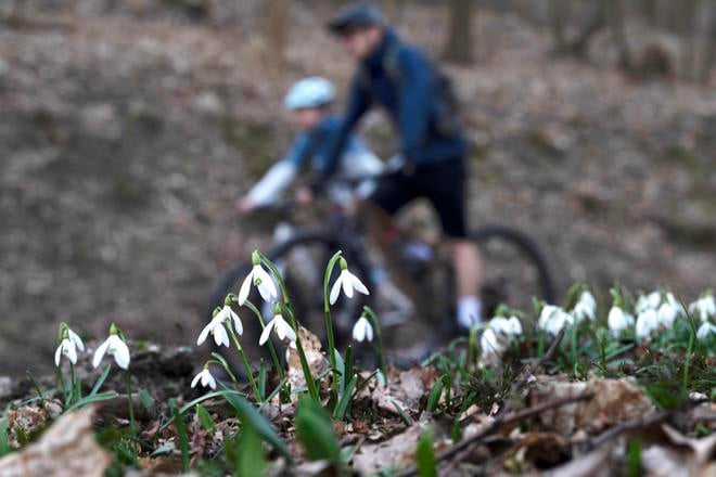 Meteorologovia zaznamenali v marci nadpriemerne vysoke denne teploty