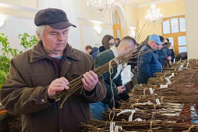 Predjarie patrilo vrublom zahradkari si odnesli poklady aj vzacne odrody