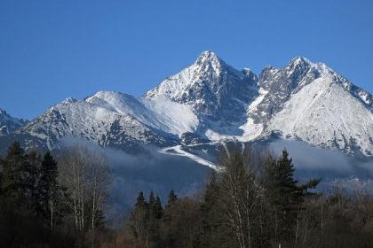 Ustav ekologie lesa navrhuje statnym organom viacerne zmeny pri zonaciach