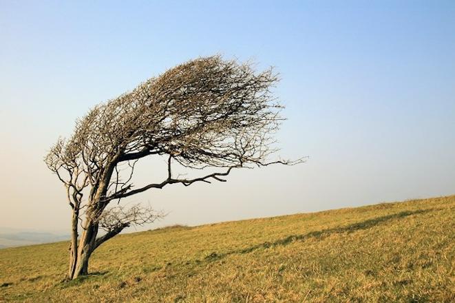 V sobotu hrozi predovsetkym na zapade Slovenska a v horach silny vietor