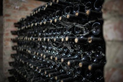 Gruzienska vlada vydrazi Stalinovu zbierku vin za vytazok otvori vinarsku skolu
