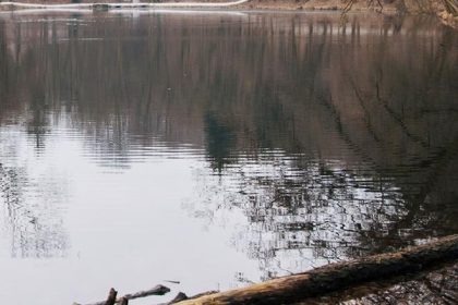 Na Zeleznej studnicke cisti a renovuje sa dva rybniky