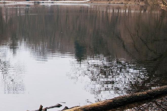 Na Zeleznej studnicke cisti a renovuje sa dva rybniky