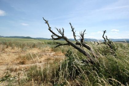 V Padskej nizine hrozi extremne sucho