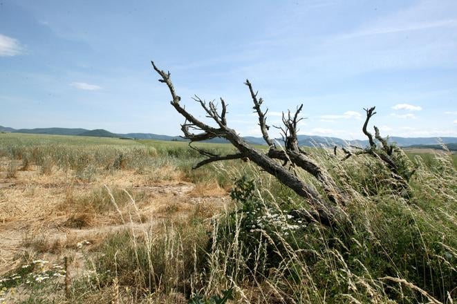 V Padskej nizine hrozi extremne sucho