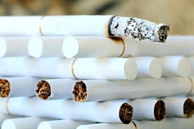 Belgicko tento rok objavilo uz jedenastuu nelegalnu tovaren na cigarety