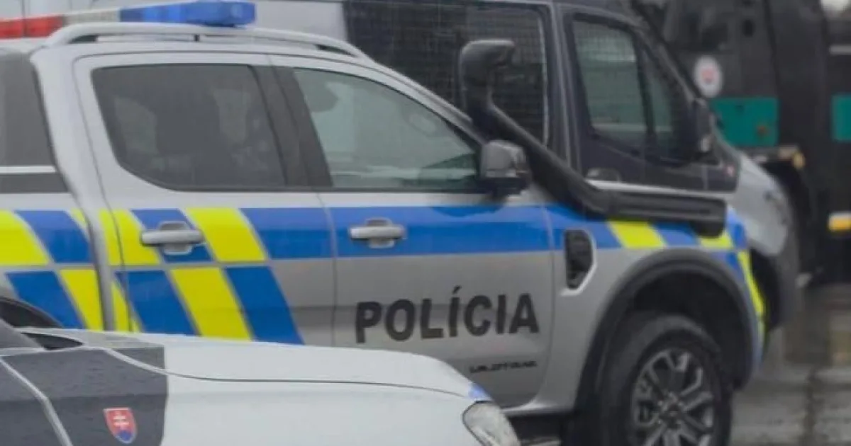 Kriminalita cudzincov na Slovensku prudko klesla