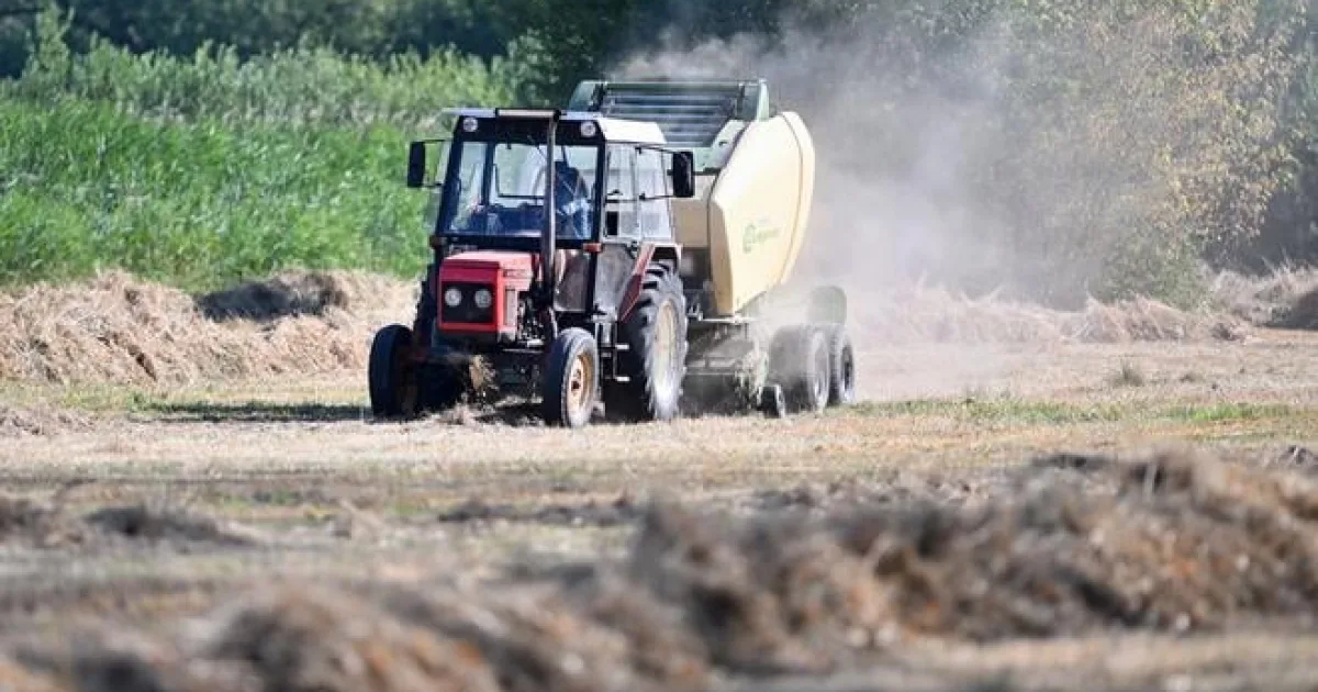Na zelenú naftu pôjde pre farmárov 26 miliónov eur