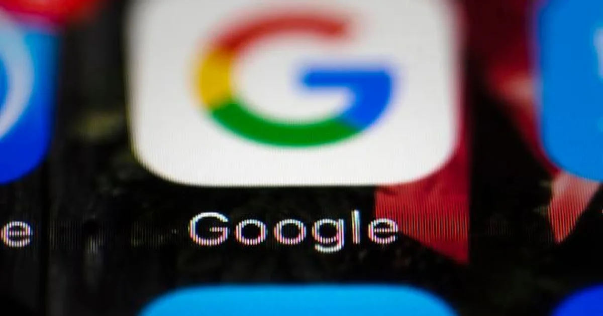 Google bez povolenia vyrúbal vo Fínsku stovky hektárov lesa