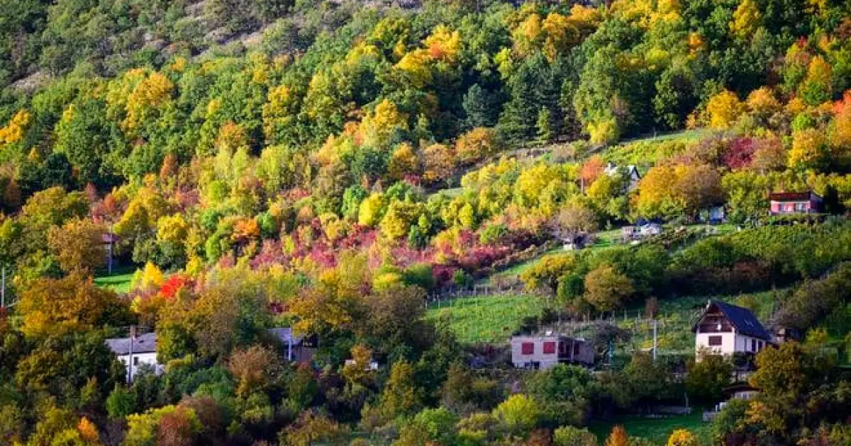 Leto na Zemplíne: dobré rožky a sedem ton betónu hneď ráno