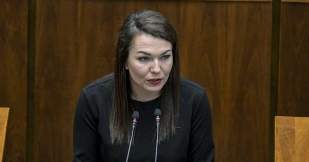Opozičné poslankyne: Ochrana pred násilím zlyháva, žiadajú systémové zmeny