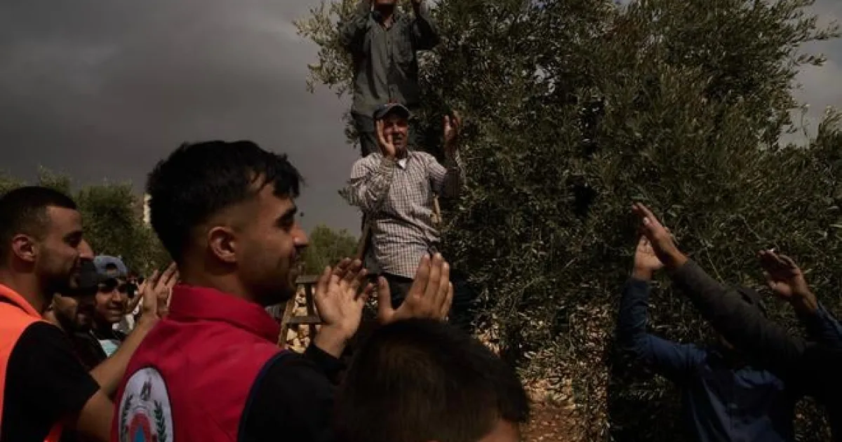 Ozbrojení usadlíci zaútočili na Palestínčanov a zapálili im sady s olivovníkmi