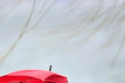 Pre Žilinský kraj, Horehronie a Tatry platí výstraha pred silným vetrom na horách