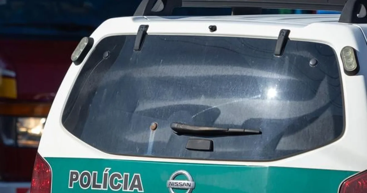 Škola v Šamoríne odmieta tvrdenia o priamom ohrození žiakov pri policajnom zásahu